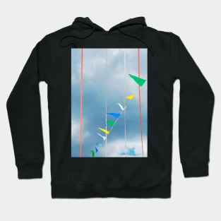 Bunting Flags in Ligosullo Hoodie